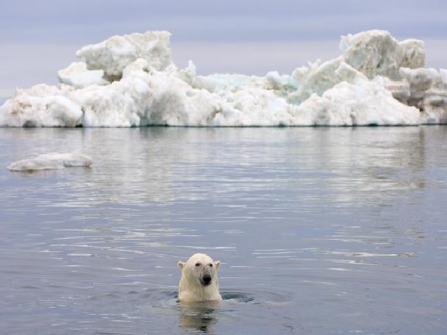 Researchers on the world’s biggest mission to North Pole returns from ‘Dying Arctic’, what was the mission and how it was commenced: Everything you must know